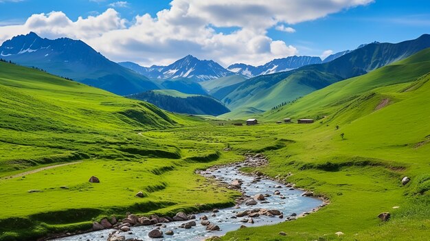 Picos de montañas bosques y prados Cordillera y cielo azul claro Paisaje suizo en verano Foto de gran resolución