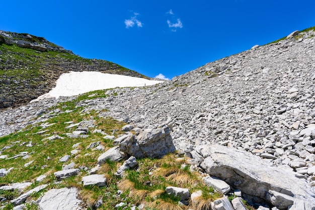 Los picos de las montañas cubiertas de nieve en el bosque tropical, las montañas alpinas y los prados.