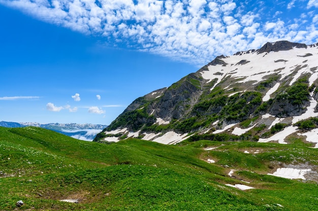 Los picos de las montañas cubiertas de nieve en el bosque tropical, las montañas alpinas y los prados.