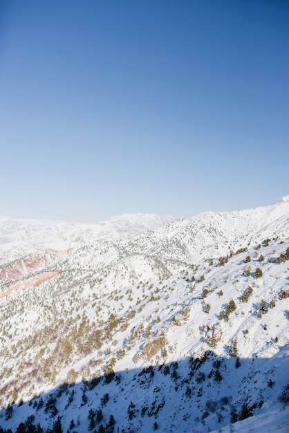 Los picos de las montañas cubiertas de nieve en Uzbekistán en un día claro