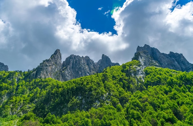 Picos nevados de altas montanhas