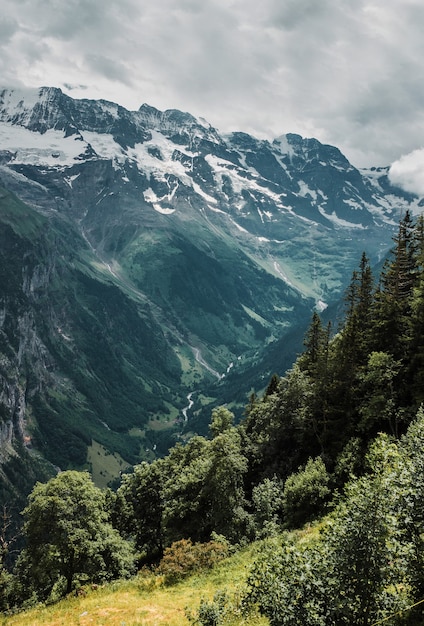 Picos nevados e floresta verde nas montanhas Jungfrau, paisagem dos Alpes suíços na Suíça