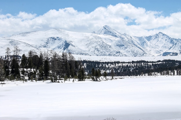 Picos nevados de las montañas de Altai
