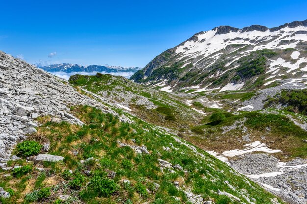 Los picos nevados de las montañas en el bosque tropical las montañas alpinas y los prados