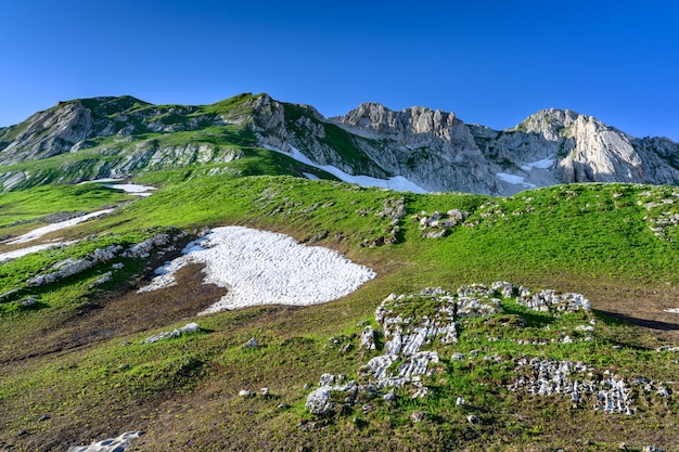 Los picos nevados de las montañas en el bosque tropical las montañas alpinas y los prados