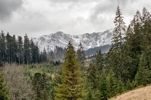 Picos nevados de las montañas Low Tatras Eslovaquia