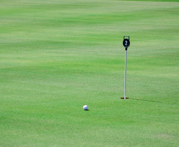 Pictire de campo de golf con pelota de golf y hoyo