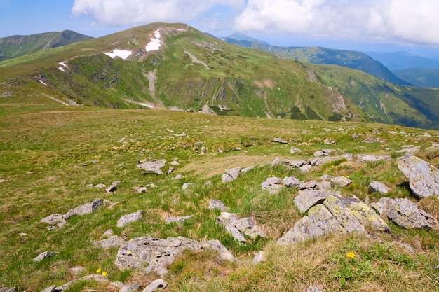 Pidge de montaña de verano y nieve en la ladera de la montaña (Ucrania, Chornogora Ridge, Cárpatos)