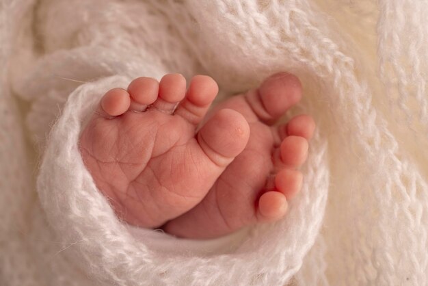 El pie diminuto de un recién nacido. Pies suaves de un recién nacido en una manta de lana blanca. Cerca de los dedos de los pies, los talones y los pies de un bebé recién nacido. Fotografía macro de estudio. Felicidad de la mujer. Fotografía, concepto.