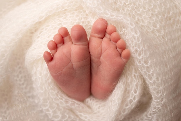 El pie diminuto de un recién nacido. Pies suaves de un recién nacido en una manta de lana blanca. Cerca de los dedos de los pies, los talones y los pies de un bebé recién nacido. Fotografía macro de estudio. Felicidad de la mujer. Fotografía, concepto.