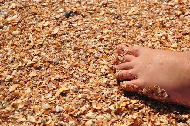 Pie pequeño de un niño en una playa de conchas