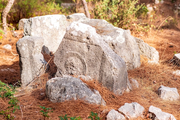 Piedra antigua con un patrón entre el bosque en el sitio de la antigua ciudad abandonada de Phaselis, Turquía