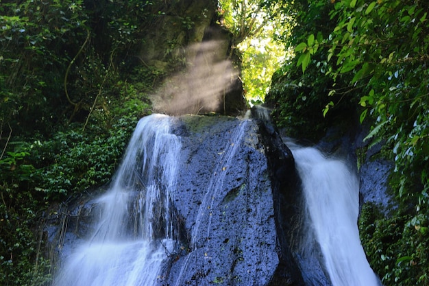 Foto piedra de belleza en la cascada