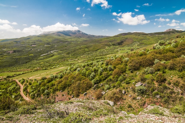 Piedra enorme de primer plano cubierto de musgo, árboles en la ladera de la montaña, hierba verde en el valle