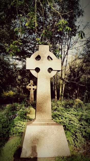 Foto piedra fúnebre con cruz en el bosque