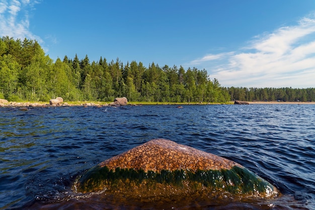 Una piedra de granito sobresale del agua del lago Ladoga