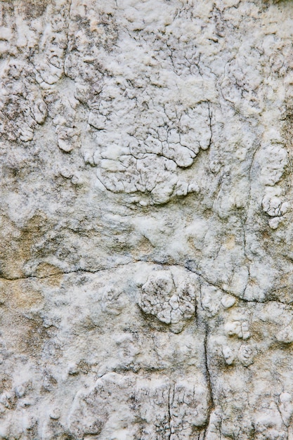 Piedra gris Roca gris Templo de fondo con textura