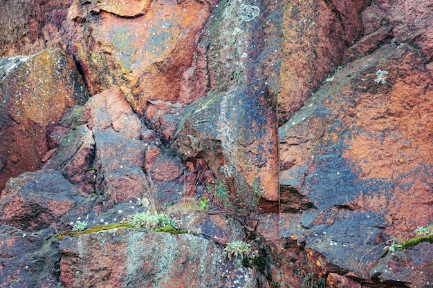 Piedra de luz inusual en el sol brillante en un clima cálido en la hermosa naturaleza