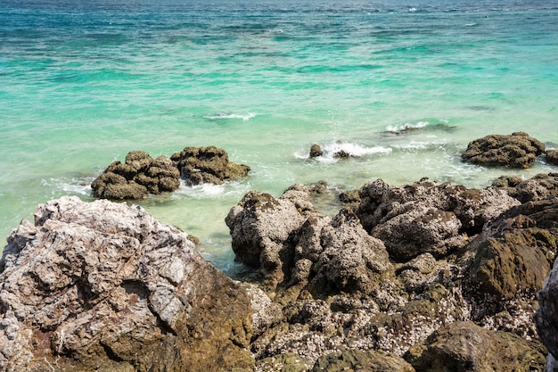 Foto piedra, en, mar verde, con, onda