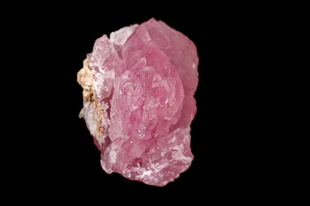 Piedra mineral de cuarzo rosa macro sobre fondo negro