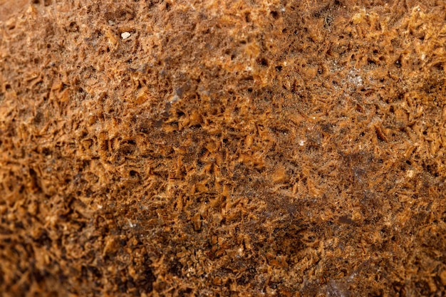 Piedra mineral macro ágata marrón sobre fondo blanco.