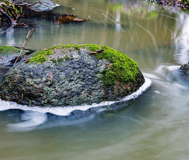 Piedra con musgo verde brillante en el pequeño río larga exposición