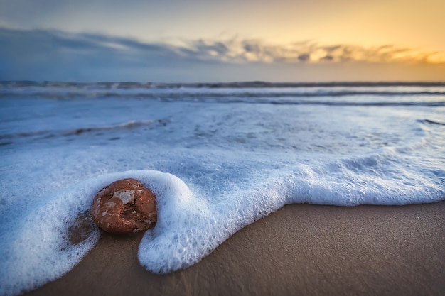 piedra en la orilla cubierta con espuma de mar