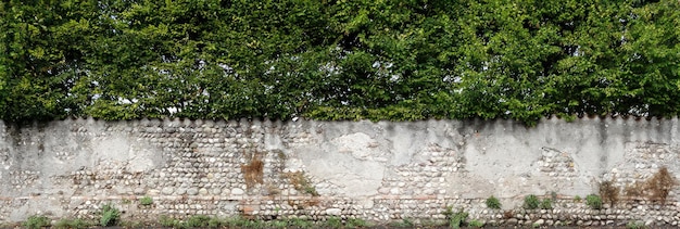 Piedra de pared con bloques regulares textura fondo sin costuras diseño de azulejos rústicos