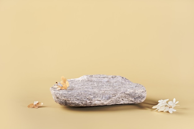 Foto piedra redondeada y flores secas fondo para la presentación de productos ecológicos y sin residuos en colores tierra