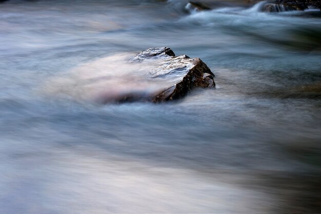 Foto piedra en un río con agua en rápido movimiento alrededor