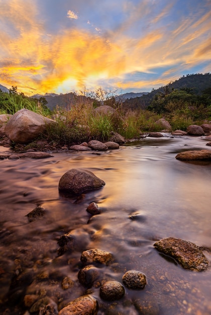 Piedra de río y árbol con cielo y nubes coloridas, árbol de río de agua, río de piedra y hoja de árbol en el bosque