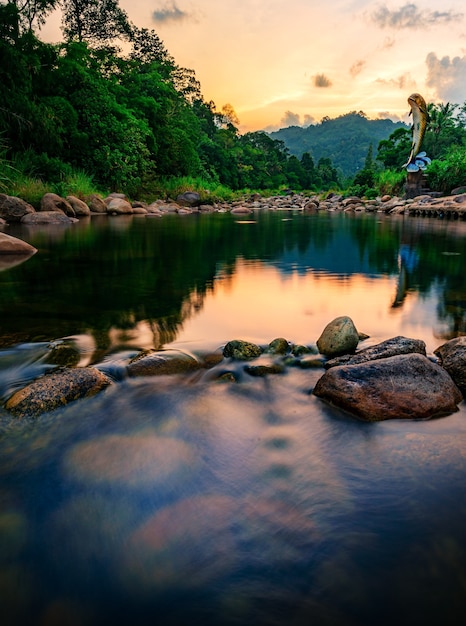 Piedra de río y árbol con cielo y nubes coloridas, árbol de río de agua, río de piedra y hoja de árbol en el bosque