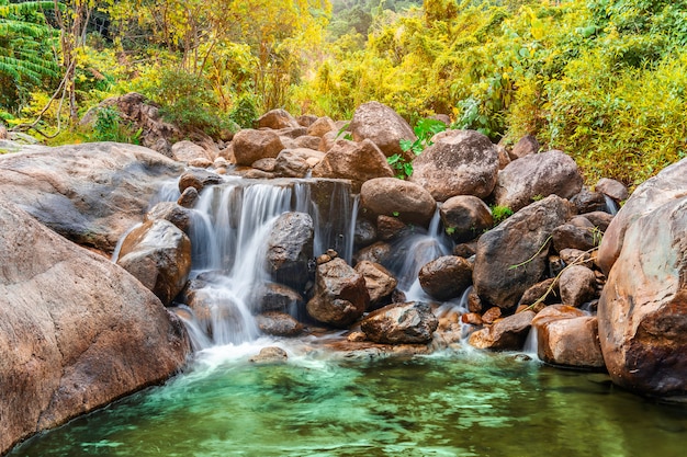 Piedra de río y cascada con árbol colorido, ver árbol de río de agua en bosque