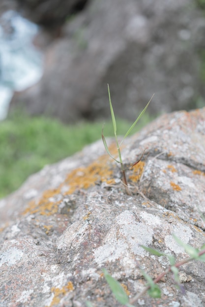 piedra rocosa