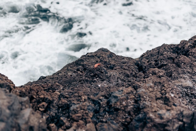 Foto piedra sobre olas en garachico em tenerife