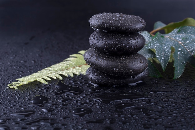 Piedra de spa húmeda apilada con hoja verde. enfoque selectivo imagen de tono.