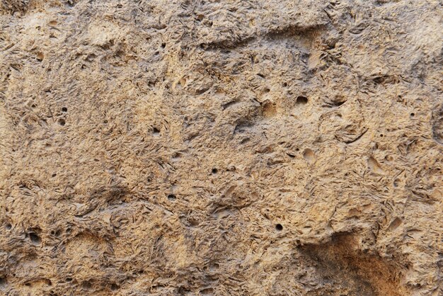 piedra textura de fondo