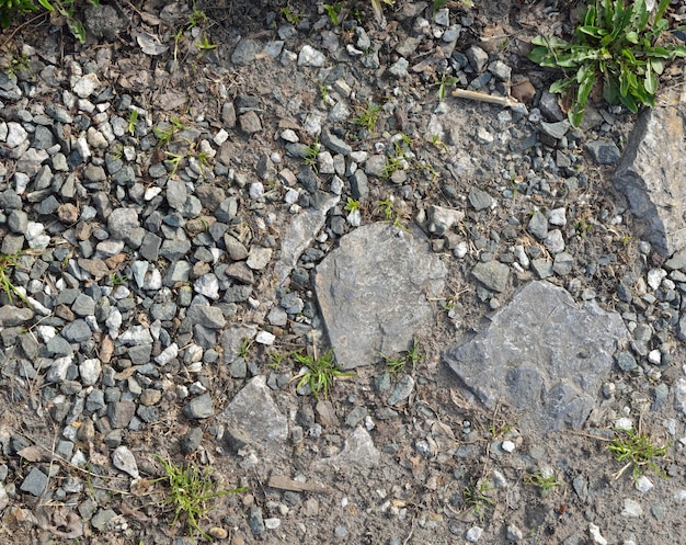 Piedra triturada y hierba