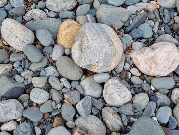 Piedras afiladas por el agua en la orilla de un río de montaña