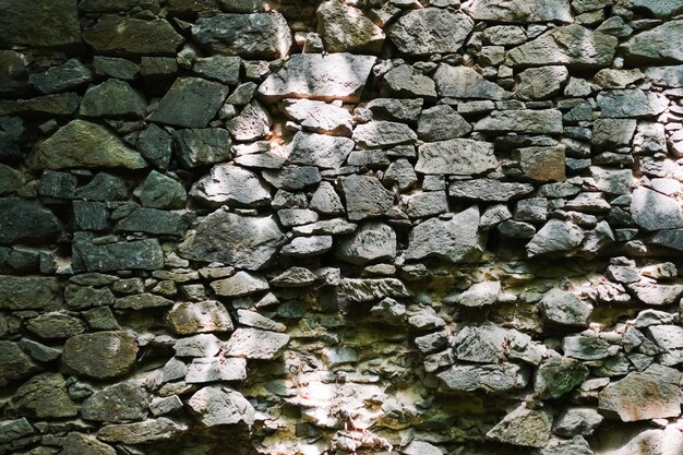 Piedras apiladas de un antiguo castillo en un bosque detalle