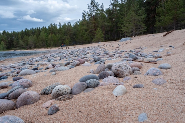 Piedras en la arena a la orilla del mar Balneario junto al mar Relajarse en una playa salvaje