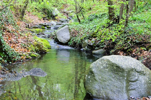 Piedras Arroyo de la montaña La costa rocosa El agua fluye sobre las rocas