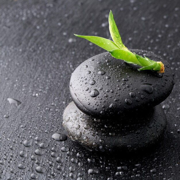 Foto piedras de basalto zen y bambú con rocío