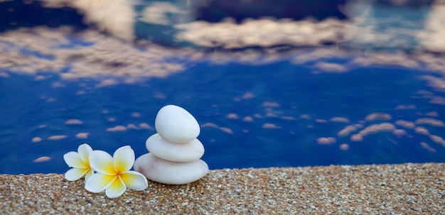 Piedras blancas y plumeria blanca cerca del agua en la piscina.