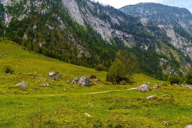 Foto piedras de canto rodado en koenigssee konigsee parque nacional berchtesgaden baviera alemania