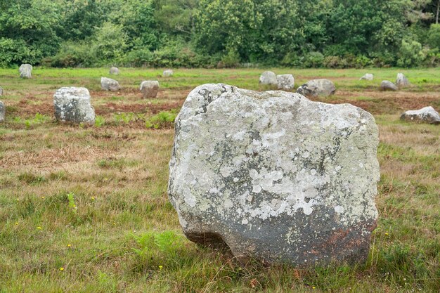 Foto las piedras de carnac en bretaña