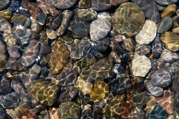 Piedras de colores en el agua en el fondo del mar Fondo Naturaleza