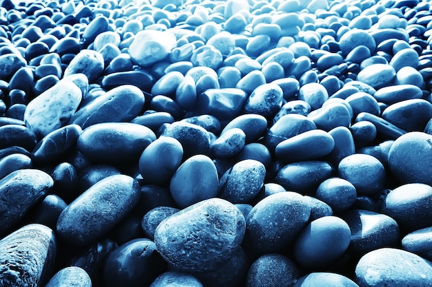 piedras de colores alrededor del mar / textura piedras redondeadas húmedas, fondo de verano multicolor húmedo