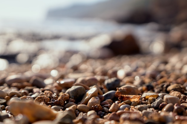 Piedras y conchas en la playa. Día soleado de verano