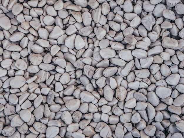 Foto piedras decorativas, piedras redondas sobre fondo blanco.